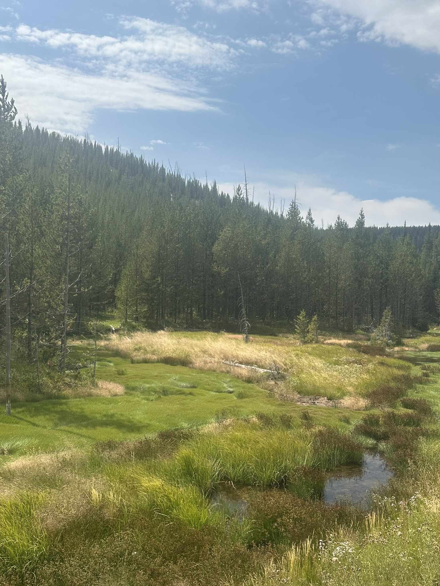 Yellowstone And Grand Teton National Parks - Image 691